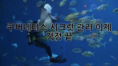 쿠버네티스 시크릿 관리, 이제 걱정 끝!