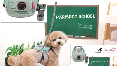 🐶 댕댕이 필수템! 소형견 하네스 백팩 솔직 후기 & 꿀팁 대방출! 🎒